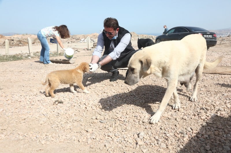 “Bir Köpeğin yaptığı, tüm sokak dostlarımıza fatura edilemez”