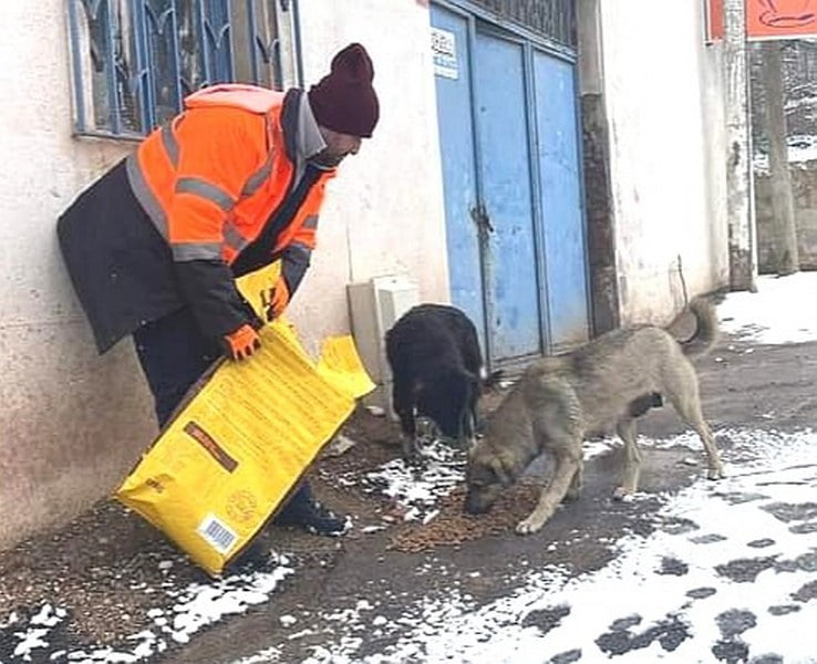 Sokak hayvanlarını unutmadılar