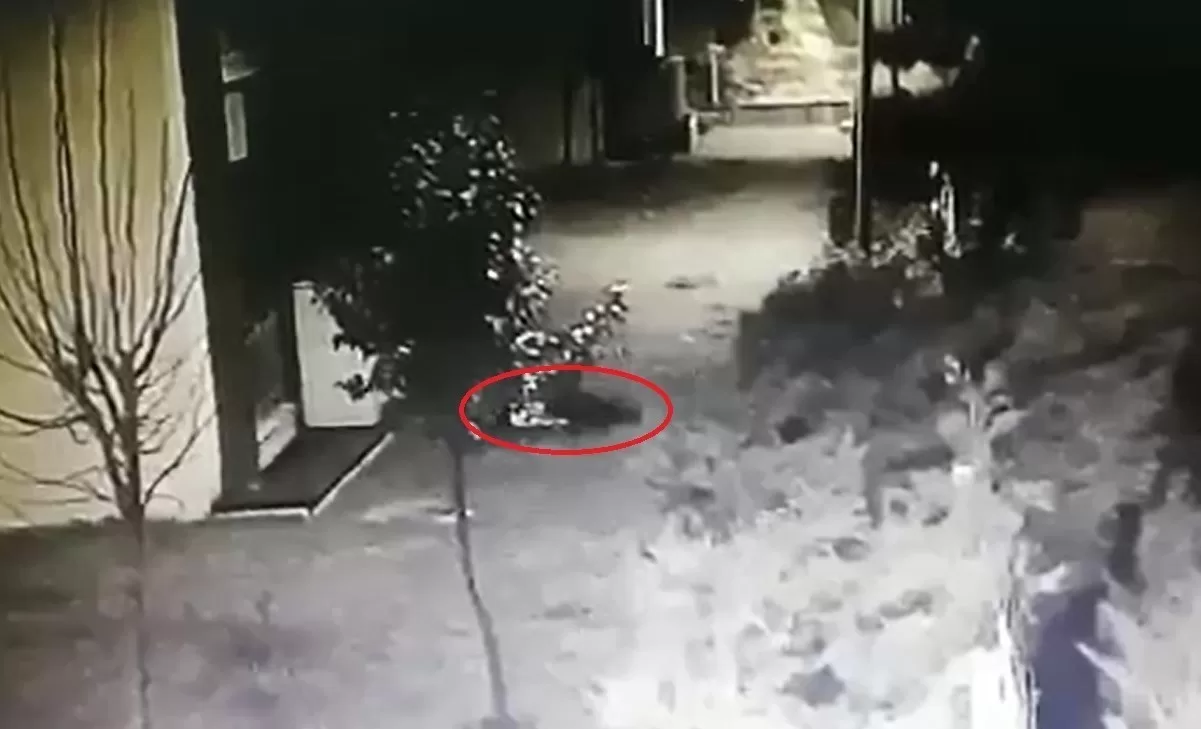 Sevgilisini 7. Kattan Attığı Şüphesiyle Yargılanan Polis Beraat Etti