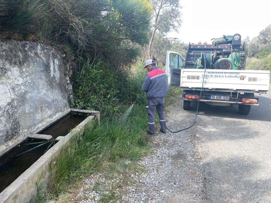 Burhaniye Belediyesi Sağlık İşleri Müdürlüğü İlaçlama Birimi, yılın 12 ayı devam eden çalışmalarının yanında, yaklaşan yaz sezonu için çalışmalarına hız kazandırdı.