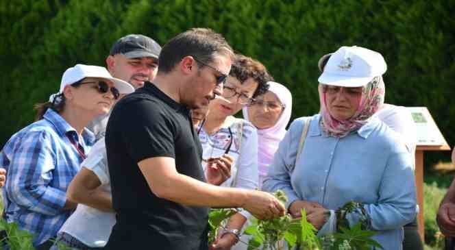 BAHÇIVANLIK KURSUNA KADINLARDAN BÜYÜK İLGİ