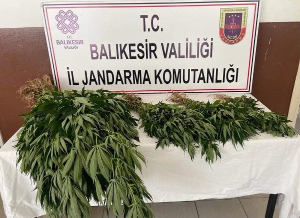 JANDARMADAN UYUŞTURUCU OPERASYONU