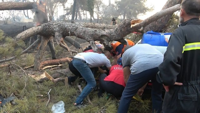 YANAN AĞACI SÖNDÜRMEYE ÇALIŞIRKEN AĞAÇ ÜZERİNE DEVRİLDİ