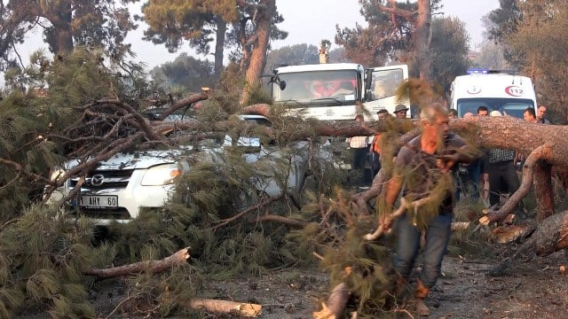 Çanakkale’de çıkan orman yangına hem havadan hem de karadan müdahale devam ederken, yangınla mücadeleye gelen arama kurtarma görevlisinin alevlere müdahale ettiği sırada üzerine ağaç devrildi. 