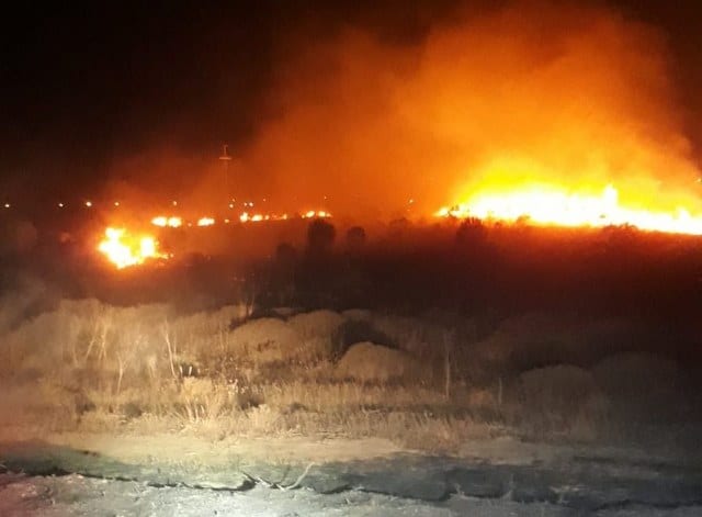 BANDIRMA’DA ARAÇTA ÇIKAN YANGIN AĞAÇLIK ALANA SIÇRADI