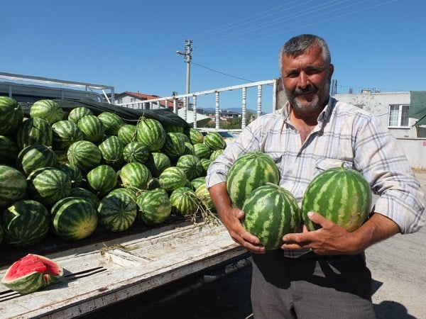 BURHANİYE’DE KARPUZ SEVİNCİ