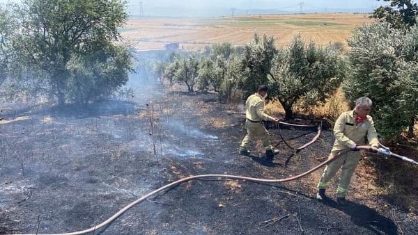 Bandırma ilçesine bağlı kırsal doğruca mahallesinde çıkan yangına itfaiye ekipleri tarafından müdahale edildi. Kontrol altına alınan yangın söndürüldü.