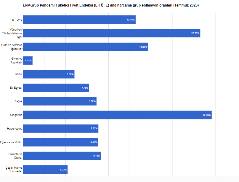 Enflasyon Araştırma Grubu (ENAG), temmuz ayı enflasyon verilerini açıkladı.