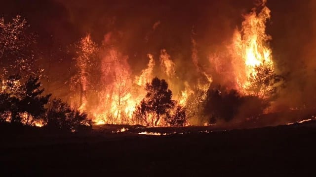 Bulgaristan-Türkiye sınırındaki orman yangınında son durum