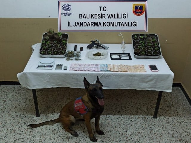 Balıkesir’de uyuşturucu operasyonu: 2 gözaltı