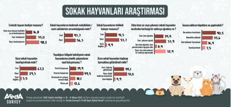 Areda Survey: Türk Halkı Sokak Hayvanlarını Tehlikeli Bulmuyor