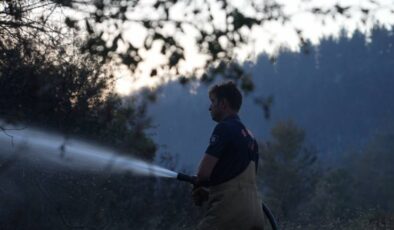 Bigadiç’teki Orman Yangını Hızlı Müdahale ile Kontrol Altına Alındı