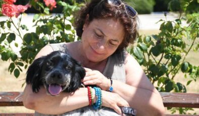 Şiddet Gören Köpek Cesur, Yeni Yuvasında İlgi ve Sevgi Görecek