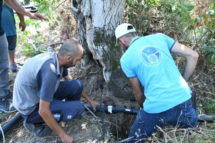 Gedeve Bölgesi, anlaşma yönetimi, Balıkesir Büyükşehir Belediyesi, Ahmet Akın, zeytin ağacı, BASKİ, Erdek