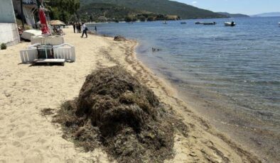 Narlı Mahallesi’nde Deniz Çayırlarını Yazlıkçılara Soruşturma